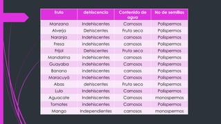 fruto dehiscencia Contenido de
agua
No de semillas
Manzana Indehiscentes Carnosos Polispermos
Alverja Dehiscentes Fruto seco Polispermos
Naranja Indehiscentes carnosos Polispermos
Fresa indehiscentes carnosos Polispermos
Frijol Dehiscentes Fruto seco Polispermos
Mandarina indehiscentes carnosos Polispermos
Guayaba indehiscentes Carnosos Polispermos
Banano indehiscentes carnosos Polispermos
Maracuyá Indehiscentes Carnosos Polispermos
Abas dehiscentes Fruto seco Polispermos
Lulo Indehiscentes Carnosos Polispermos
Aguacate Indehiscentes Carnosos monospermos
Tomates indehiscentes Carnosos Polispermos
Mango Independientes carnosos monospermos
 