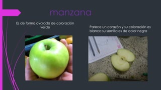 manzana
Es de forma ovalada de coloración
verde Parece un corazón y su coloración es
blanca su semilla es de color negra
 