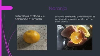 Naranja
Su forma es ovalada y su
coloración es amarilla
Su forma es redonda y su coloración es
anaranjado claro sus semillas son de
color blanco
 