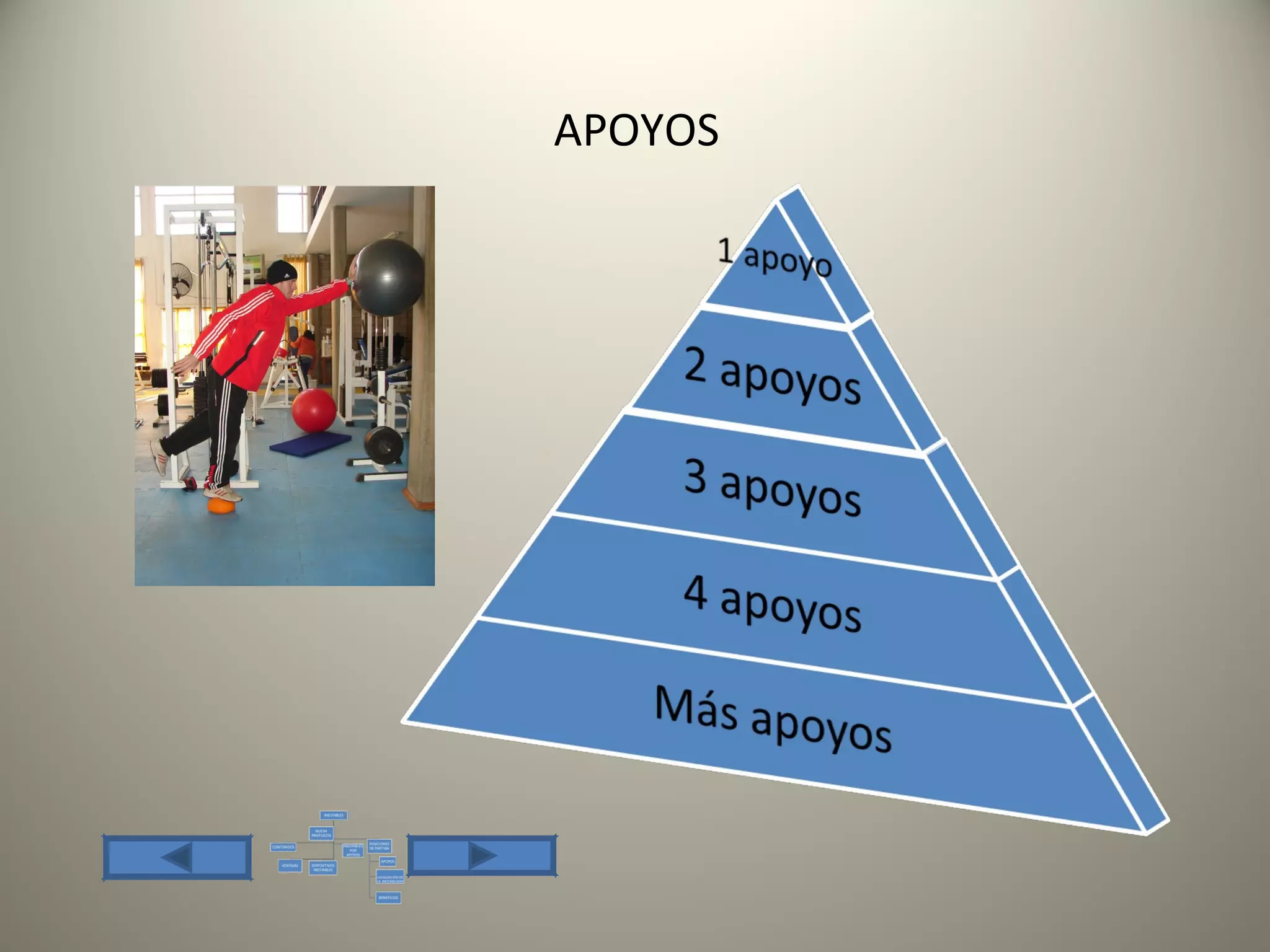 APOYOS
 