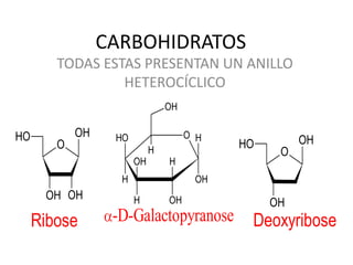 CARBOHIDRATOS
        TODAS ESTAS PRESENTAN UN ANILLO
                 HETEROCÍCLICO
                                OH

HO          OH    HO                 O H
        O                                  HO        OH
                            H                    O
                       OH       H
                   H                  OH
      OH OH            H        OH              OH
     Ribose       -D-Galactopyranose        Deoxyribose
 