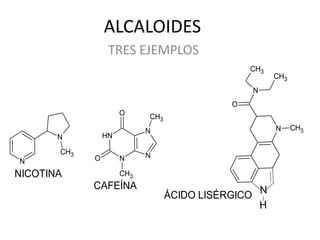 ALCALOIDES
                  TRES EJEMPLOS
                                                 CH3
                                                       CH3
                                                 N
                                             O
                      O     CH3
                            N                          N     CH3
       N         HN

       CH3                  N
N            O        N

NICOTINA              CH3
             CAFEÍNA
                                  ÁCIDO LISÉRGICO N
                                                  H
 
