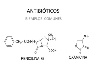 ANTIBIÓTICOS
      EJEMPLOS COMUNES


                      CH3                NH2
                    S
                        CH3
-CH2 - CO-NH-
                N                O
                                           O
                      COOH           N
            O                        H

   PENICILINA G               OXAMICINA
 