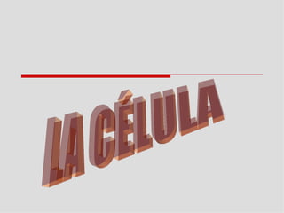 LA CÉLULA 