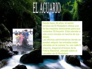 EL ACUARIO Desde hace 36 años, el sector turístico de El Rodadero ofrece una de las mayores atracciones para sus visitantes: El Acuario. Está ubicado a sólo cinco minutos en lancha de sus playas.  Las oficinas administrativas donde se pueden adquirir las entradas están ubicadas en la carrera 1a. con calle 8 esquina, diagonal al kiosco de la Policía Nacional, ubicado sobre el camellón de El Rodadero 