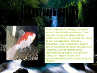 ACUARIO Y JARDIN AGUA VIVA  Es el complemento ecológico que debe incluir en su visita de vacaciones.  Es un pequeño conjunto de selva, jardines  exóticos que ofrecen un acuario con  peces de los ríos Magdalena, Orinoco y Amazonas.   Sus instalaciones, están a sólo 20 kilómetros del sector turístico de El Rodadero, y puede llegarse en taxi (generalmente se pagan $ 20.000 ida y vuelta, con  espera de una hora aproximadamente), o en busetas de la ruta BONDA.  