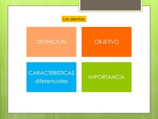 Las plantas




  DEFINICION                OBJETIVO




CARACTERISTICAS
                           IMPORTANCIA
  diferenciales
 
