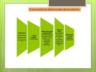 Características diferenciales de las plantas




                                    *          Tipo de
                            :Reproducción        vida:
*Nutrición:                   y desarrollo    pluricelular
                            Asexual Sexual     es con y      Metabolis
Fotosíntesis    * Nivel                                       mo del
                             con gametos y    sin tejidos.
Respiración     celular:      zigoto, y con       Con        oxígeno:
               Eucariotas        esporas      movimient      necesario
transpiració
     n                          haploides     o pero sin
                                 (haplo-      desplazam
                               diploides).       iento.
 