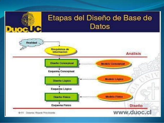 Presentación de fases de diseño de base de datos