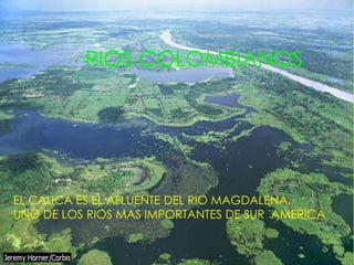 RIOS COLOMBIANOS




EL CAUCA ES EL AFLUENTE DEL RIO MAGDALENA,
UNO DE LOS RIOS MAS IMPORTANTES DE SUR AMERICA
 