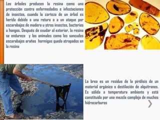 Los árboles producen la resina como una
protección contra enfermedades e infestaciones
de insectos, cuando la corteza de un árbol es
herida debido a una rotura o a un ataque por
escarabajos de madera u otros insectos, bacterias
u hongos. Después de exudar al exterior, la resina
se endurece y los animales como los sancudos
escarabajos arañas hormigas queda atrapados en
la resina
La brea es un residuo de la pirólisis de un
material orgánico o destilación de alquitranes.
Es sólida a temperatura ambiente y está
constituida por una mezcla compleja de muchos
hidrocarburos
 