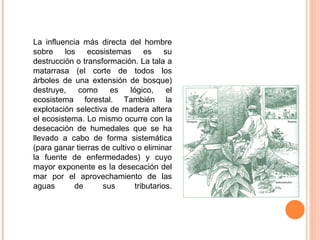 La influencia más directa del hombre
sobre los ecosistemas es su
destrucción o transformación. La tala a
matarrasa (el corte de todos los
árboles de una extensión de bosque)
destruye,    como     es     lógico,     el
ecosistema forestal. También la
explotación selectiva de madera altera
el ecosistema. Lo mismo ocurre con la
desecación de humedales que se ha
llevado a cabo de forma sistemática
(para ganar tierras de cultivo o eliminar
la fuente de enfermedades) y cuyo
mayor exponente es la desecación del
mar por el aprovechamiento de las
aguas       de      sus        tributarios.
 