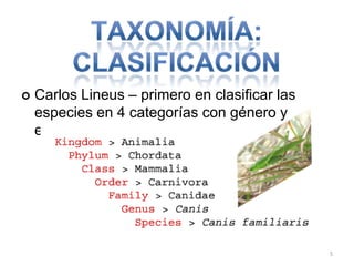 

Carlos Lineus – primero en clasificar las
especies en 4 categorías con género y
especie

5

 