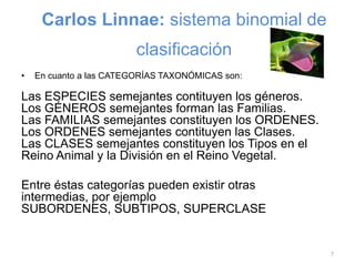 Carlos Linnae: sistema binomial de
clasificación
•

En cuanto a las CATEGORÍAS TAXONÓMICAS son:

Las ESPECIES semejantes contituyen los géneros.
Los GÉNEROS semejantes forman las Familias.
Las FAMILIAS semejantes constituyen los ORDENES.
Los ORDENES semejantes contituyen las Clases.
Las CLASES semejantes constituyen los Tipos en el
Reino Animal y la División en el Reino Vegetal.
Entre éstas categorías pueden existir otras
intermedias, por ejemplo
SUBORDENES, SUBTIPOS, SUPERCLASE

7

 