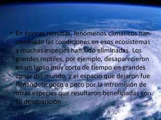 • En épocas remotas, fenómenos climáticos han
  cambiado las condiciones en esos ecosistemas
  y muchas especies han sido eliminadas. Los
  grandes reptiles, por ejemplo, desaparecieron
  en un lapso muy corto de tiempo en grandes
  zonas del mundo, y el espacio que dejaron fue
  llenándose poco a poco por la intromisión de
  otras especies que resultaron beneficiadas con
  su desaparición
 