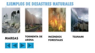 MAREAS
TORMENTA DE
ARENA
INCENDIOS
FORESTALES
TSUNAMI
 