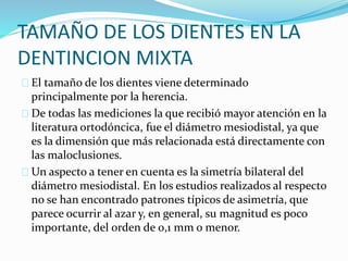 TAMAÑO DE LOS DIENTES EN LA
DENTINCION MIXTA
El tamaño de los dientes viene determinado
principalmente por la herencia.
De todas las mediciones la que recibió mayor atención en la
literatura ortodóncica, fue el diámetro mesiodistal, ya que
es la dimensión que más relacionada está directamente con
las maloclusiones.
Un aspecto a tener en cuenta es la simetría bilateral del
diámetro mesiodistal. En los estudios realizados al respecto
no se han encontrado patrones típicos de asimetría, que
parece ocurrir al azar y, en general, su magnitud es poco
importante, del orden de 0,1 mm o menor.
 