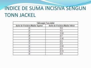 INDICE DE SUMA INCISIVA SENGUN
TONN JACKEL
 