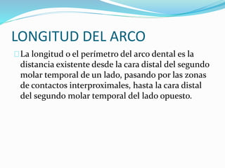 LONGITUD DEL ARCO
La longitud o el perímetro del arco dental es la
distancia existente desde la cara distal del segundo
molar temporal de un lado, pasando por las zonas
de contactos interproximales, hasta la cara distal
del segundo molar temporal del lado opuesto.
 