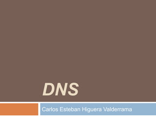 DNS
Carlos Esteban Higuera Valderrama
 