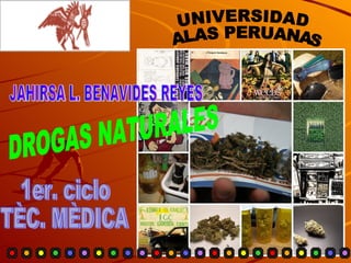 DROGAS NATURALES JAHIRSA L. BENAVIDES REYES 1er. ciclo TÈC. MÈDICA UNIVERSIDAD ALAS PERUANAS 