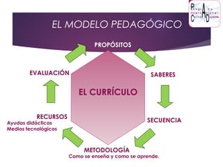 EL MODELO PEDAGÓGICO
PROPÓSITOS
SABERES
SECUENCIA
METODOLOGÍA
RECURSOS
EVALUACIÓN
EL CURRÍCULO
Como se enseña y como se aprende.
Ayudas didácticas
Medios tecnológicos
 