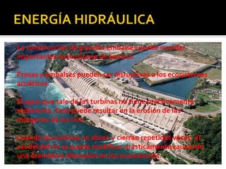 La construcción de grandes embalses puede inundar
importantes extensiones de terreno.
Presas y embalses pueden ser disruptivas a los ecosistemas
acuáticos.
El agua que sale de las turbinas no tiene prácticamente
sedimento. Esto puede resultar en la erosión de las
márgenes de los ríos.
Cuando las turbinas se abren y cierran repetidas veces, el
caudal del río se puede modificar drásticamente causando
una dramática alteración en los ecosistemas.
 