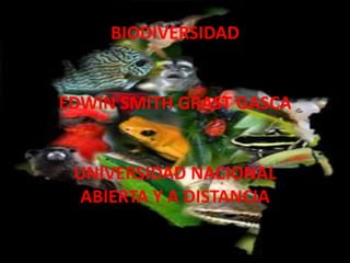 BIODIVERSIDAD


EDWIN SMITH GRAST GASCA


 UNIVERSIDAD NACIONAL
  ABIERTA Y A DISTANCIA
 