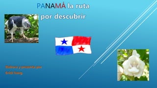 PANAMÁ
 