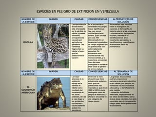 Presentación1 especies (1) | PPT