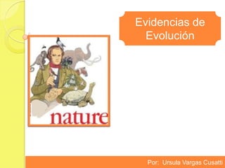 Evidencias de
  Evolución




  Por: Ursula Vargas Cusatti
 