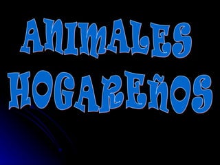 ANIMALES  HOGAREÑOS 