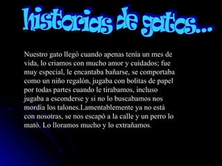 Nuestro gato llegó cuando apenas tenía un mes de vida, lo criamos con mucho amor y cuidados; fue  muy especial, le encantaba bañarse, se comportaba como un niño regalón, jugaba con bolitas de papel por todas partes cuando le tirabamos, incluso jugaba a esconderse y si no lo buscabamos nos mordía los talones.Lamentablemente ya no está con nosotras, se nos escapó a la calle y un perro lo mató. Lo lloramos mucho y lo extrañamos .  historias de gatos... 