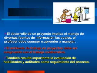 El desarrollo de un proyecto implica el manejo de diversas fuentes de información las cuales, el profesor debe conocer o aprender a manejar. El ambiente de trabajo en proyectos debe ser congruente con el trabajo colaborativo. También resulta importante la evaluación de habilidades y actitudes como seguimiento del proceso. 