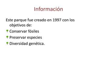 Información
Este parque fue creado en 1997 con los
objetivos de:
Conservar fósiles
Preservar especies
Diversidad genética.
 