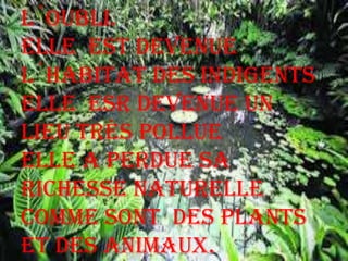 l´oubli.
Elle est devenue
l´habitat des indigents
elle esr devenue un
lieu trés pollue
elle a perdue sa
richesse naturelle
comme sont des plants
et des animaux.
 