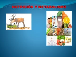NUTRICIÓN Y METABOLISMO
 