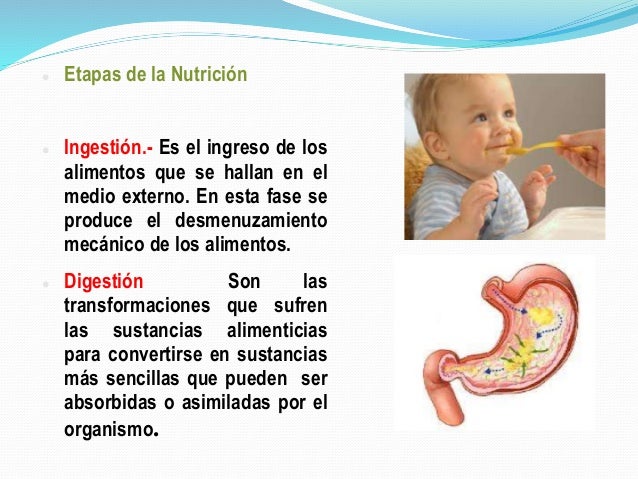 Y metabolismo del hierro analitica