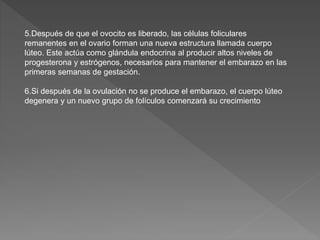 5.Después de que el ovocito es liberado, las células foliculares
remanentes en el ovario forman una nueva estructura llamada cuerpo
lúteo. Este actúa como glándula endocrina al producir altos niveles de
progesterona y estrógenos, necesarios para mantener el embarazo en las
primeras semanas de gestación.
6.Si después de la ovulación no se produce el embarazo, el cuerpo lúteo
degenera y un nuevo grupo de folículos comenzará su crecimiento
 