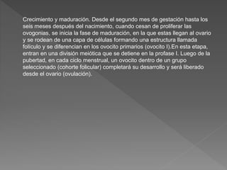 Crecimiento y maduración. Desde el segundo mes de gestación hasta los
seis meses después del nacimiento, cuando cesan de proliferar las
ovogonias, se inicia la fase de maduración, en la que estas llegan al ovario
y se rodean de una capa de células formando una estructura llamada
folículo y se diferencian en los ovocito primarios (ovocito I).En esta etapa,
entran en una división meiótica que se detiene en la profase I. Luego de la
pubertad, en cada ciclo menstrual, un ovocito dentro de un grupo
seleccionado (cohorte folicular) completará su desarrollo y será liberado
desde el ovario (ovulación).
 