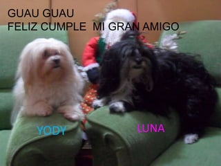 GUAU GUAUFELIZ CUMPLE  MI GRAN AMIGOLUNAYODY