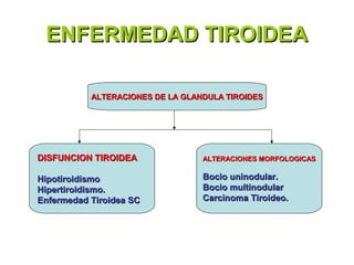 ENFERMEDAD TIROIDEA

           ALTERACIONES DE LA GLANDULA TIROIDES




DISFUNCION TIROIDEA               ALTERACIONES MORFOLOGICAS


Hipotiroidismo                    Bocio uninodular.
Hipertiroidismo.                  Bocio multinodular
Enfermedad Tiroidea SC            Carcinoma Tiroideo.
 