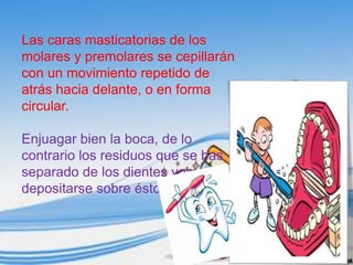 Las caras masticatorias de los
molares y premolares se cepillarán
con un movimiento repetido de
atrás hacia delante, o en forma
circular.

Enjuagar bien la boca, de lo
contrario los residuos que se has
separado de los dientes volverán a
depositarse sobre éstos.
 