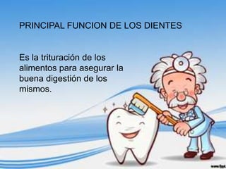 PRINCIPAL FUNCION DE LOS DIENTES


Es la trituración de los
alimentos para asegurar la
buena digestión de los
mismos.
 