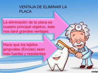 VENTAJA DE ELIMINAR LA
         PLACA

La eliminación de la placa es
nuestro principal objetivo, éste
nos dará grandes ventajas:


Hace que los tejidos
gingivales (Encías) sean
más fuertes y resistentes
 