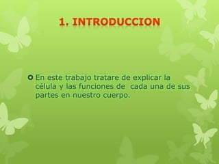  En este trabajo tratare de explicar la
  célula y las funciones de cada una de sus
  partes en nuestro cuerpo.
 