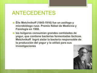 ANTECEDENTES
 Élie Metchnikoff (1845-1916) fue un zoólogo y
microbiólogo ruso. Premio Nóbel de Medicina y
Fisiología en 1908.
 los búlgaros consumían grandes cantidades de
yogur, que contiene bacterias fermentadas lácticas.
Metchnikoff logró aislar la bacteria responsable de
la producción del yogur y la utilizó para sus
investigaciones
 