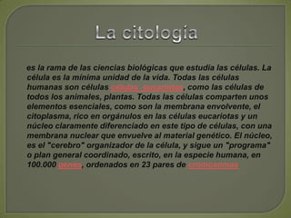 La citología    es la rama de las ciencias biológicas que estudia las células. La célula es la mínima unidad de la vida. Todas las células humanas son células células eucariotas, como las células de todos los animales, plantas. Todas las células comparten unos elementos esenciales, como son la membrana envolvente, el citoplasma, rico en orgánulos en las células eucariotas y un núcleo claramente diferenciado en este tipo de células, con una membrana nuclear que envuelve al material genético. El núcleo, es el "cerebro" organizador de la célula, y sigue un "programa" o plan general coordinado, escrito, en la especie humana, en 100.000 genes, ordenados en 23 pares de cromosomas