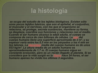 la histologia    se ocupa del estudio de los tejidos biológicos. Existen sólo unos pocos tejidos básicos, que son el epitelial, el conjuntivo, el muscular y el nervioso, con los que el organismo se relaciona, se protege, secreta sustancias, mantiene su forma, se desplaza, coordina sus funciones y relaciones con el medio.    Cuando el ser humano alcanza la edad adulta, el cuerpo se compone de cerca de cien billones de células. La piel del cuerpo humano tiene una superficie aproximada de 2 m², y su espesor varía entre los 0,5 mm en los párpados a los 4 mm en los talones. La densidad media del cuerpo humano es de unos 933 kg/m³. La altura media de un adulto humano es aproximadamente de 1,7 m. El cuerpo humano sigue en constante evolución, pero es un recién llegado al planeta. Si se considera que la vida surgió en la Tierra hace 24 horas, el ser humano apenas ha vivido los últimos 3 segundos.
