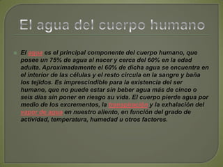 El agua del cuerpo humanoEl agua es el principal componente del cuerpo humano, que posee un 75% de agua al nacer y cerca del 60% en la edad adulta. Aproximadamente el 60% de dicha agua se encuentra en el interior de las células y el resto circula en la sangre y baña los tejidos. Es imprescindible para la existencia del ser humano, que no puede estar sin beber agua más de cinco o seis días sin poner en riesgo su vida. El cuerpo pierde agua por medio de los excrementos, la transpiración y la exhalación del vapor de agua en nuestro aliento, en función del grado de actividad, temperatura, humedad u otros factores.